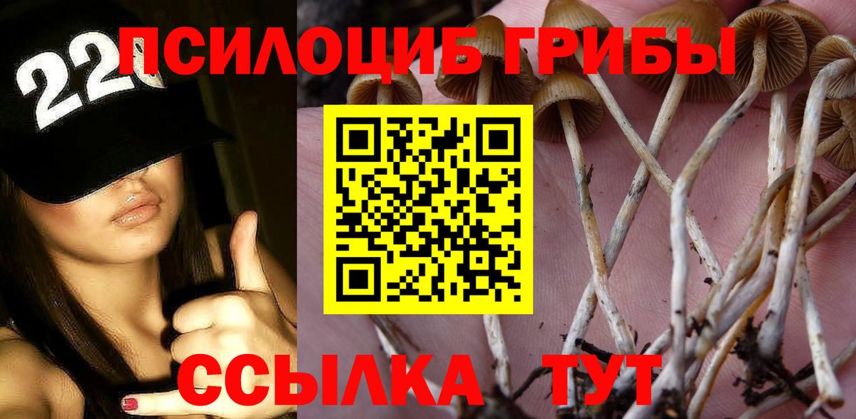 Галлюциногенные грибы мухоморы Аргун