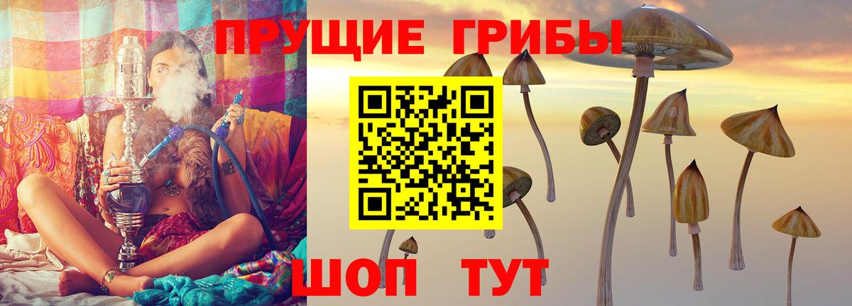 Аргун  Галлюциногенные грибы MAGIC MUSHROOMS  Псилоцибиновые грибы ЛСД  цена   Вход с VPN 